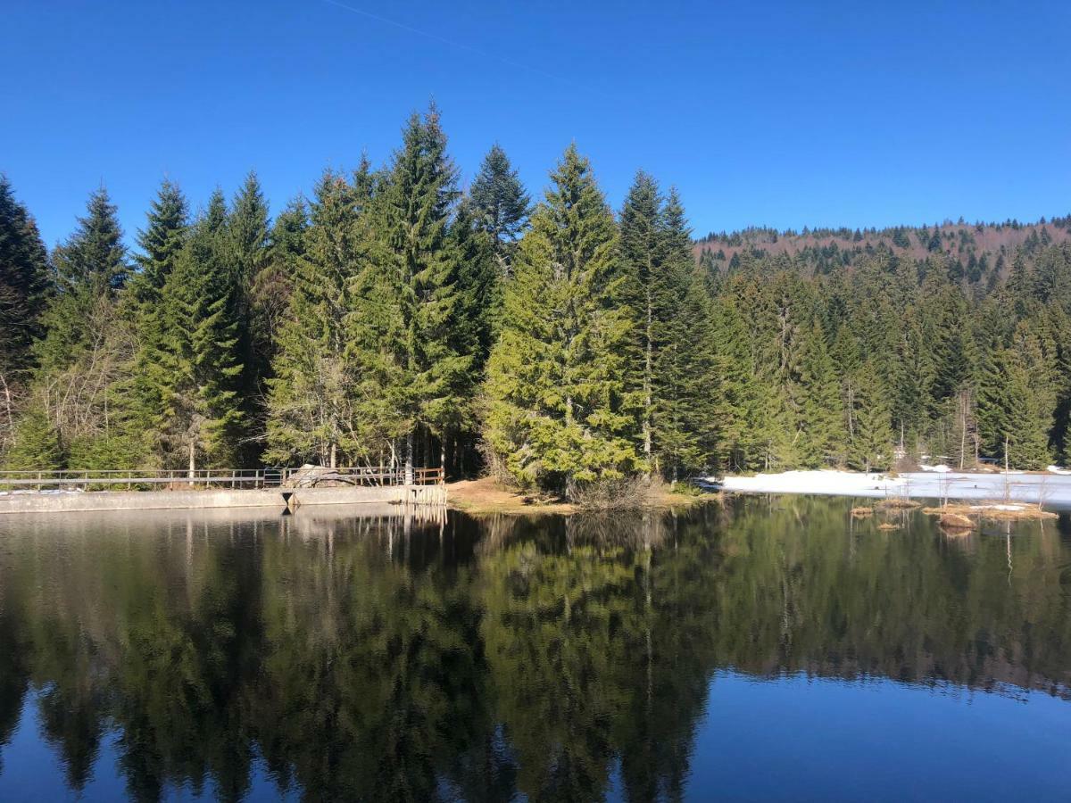 Ma Montagne Chic Lägenhet La Bresse Exteriör bild
